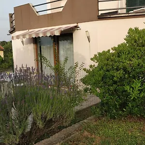 provjera dostupnosti